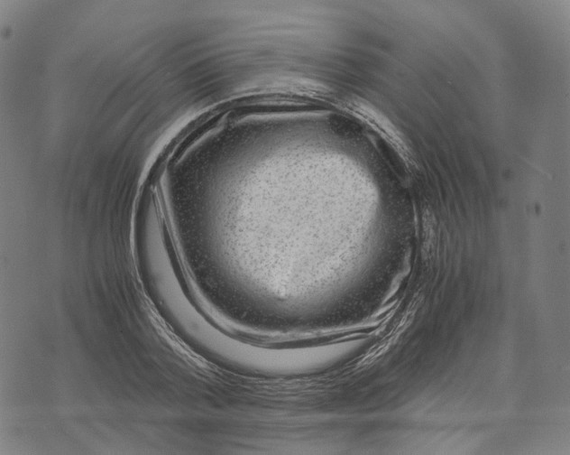 X0000071780788200607211556