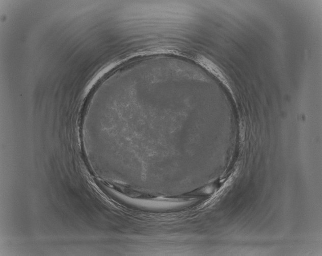 X0000071780789200607211556