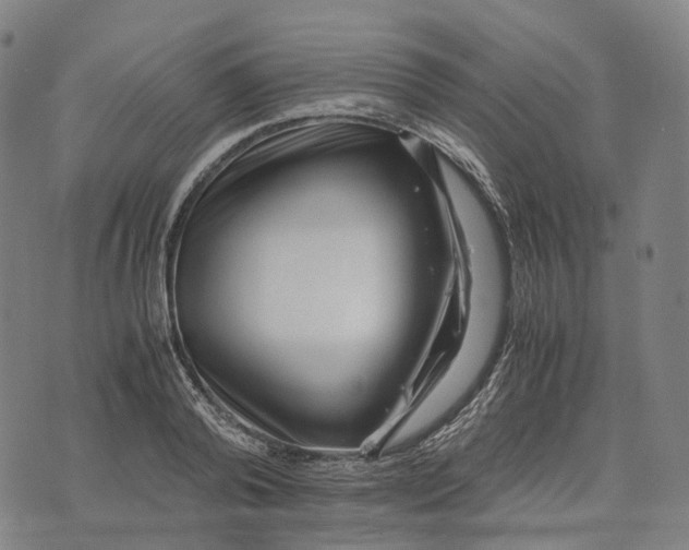 X0000071780792200607211556