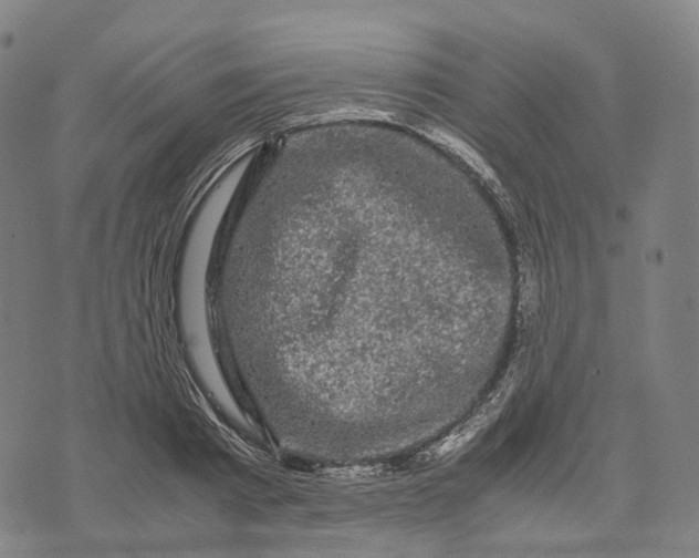 X0000071780793200607211556