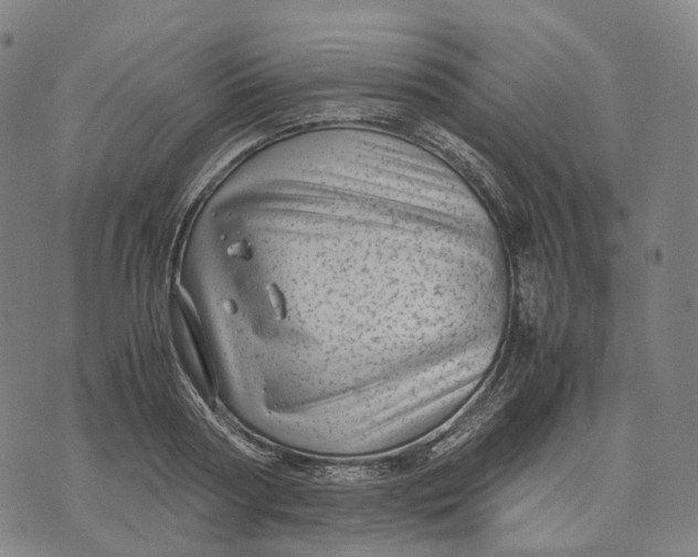 X0000071780794200607211556