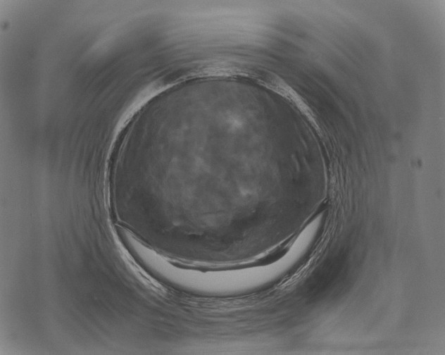 X0000071780795200607211556