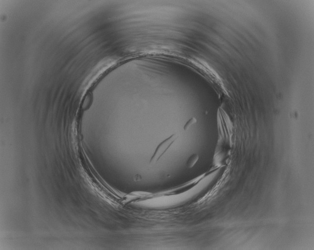 X0000071780798200607211555