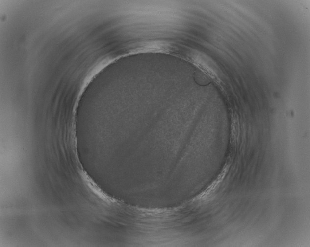 X0000071780800200607211555