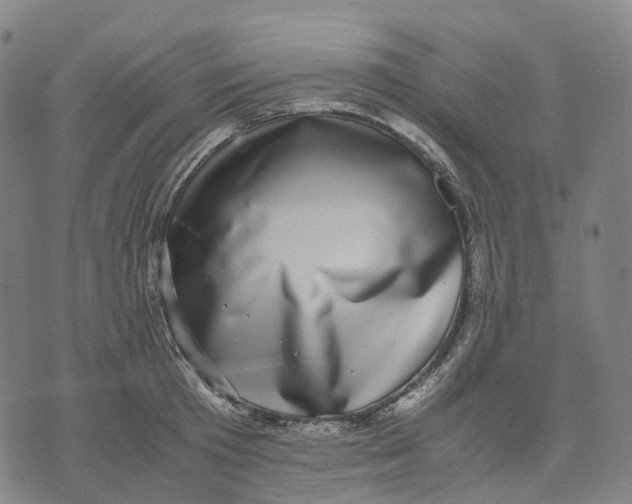 X0000071780801200607211555