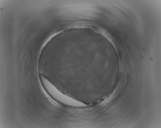 X0000071780803200607211555