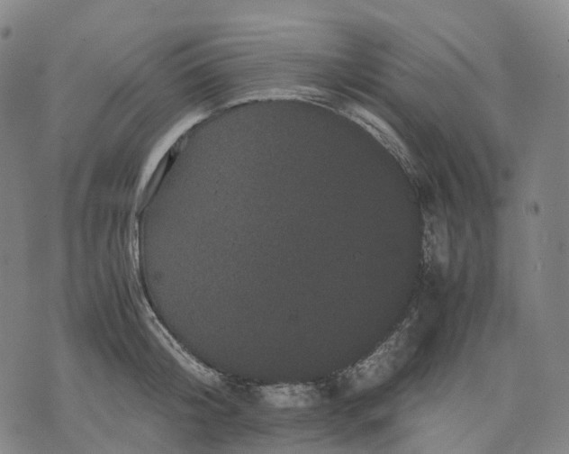 X0000071780804200607211555