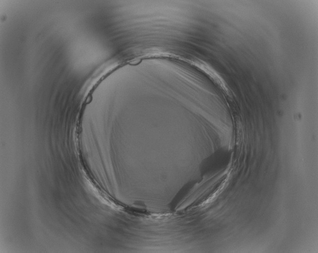 X0000071780806200607211555