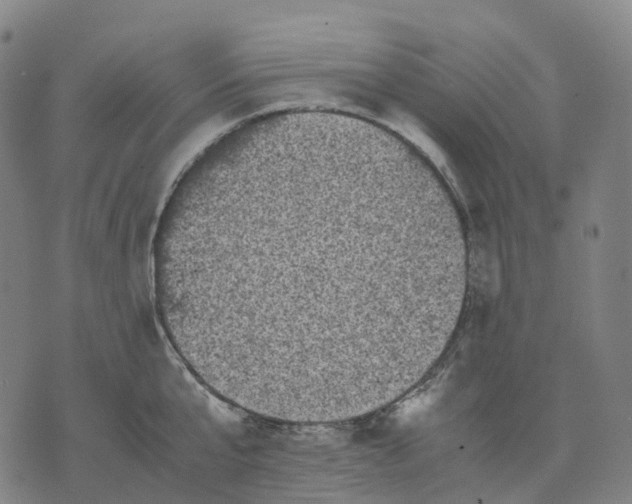 X0000071780807200607211555