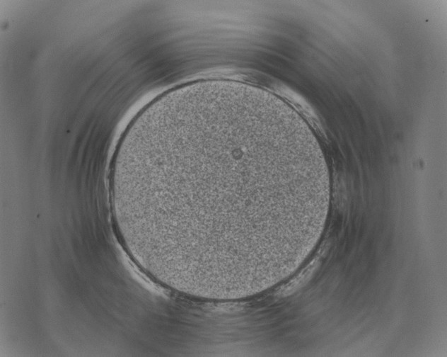 X0000071780808200607211555