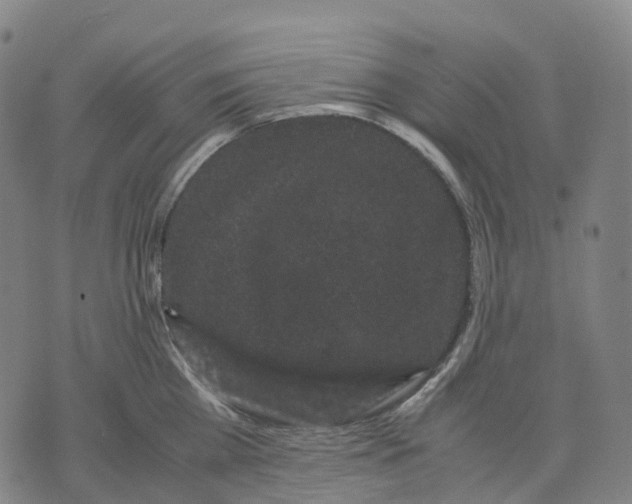 X0000071780809200607211555