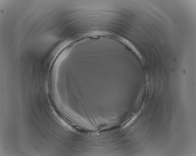 X0000071780810200607211555