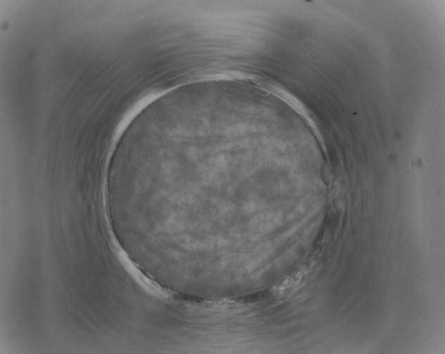 X0000071780811200607211555