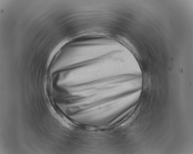 X0000071780812200607211555