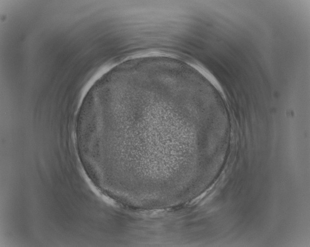 X0000071780813200607211555