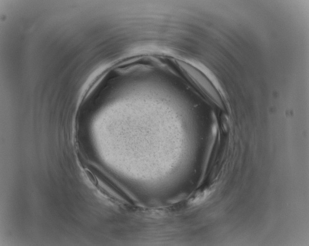 X0000071780815200607211555