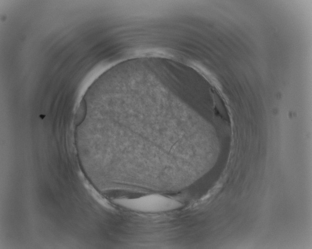 X0000071780816200607211555