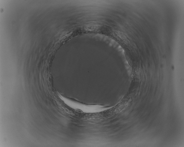 X0000071780817200607211554