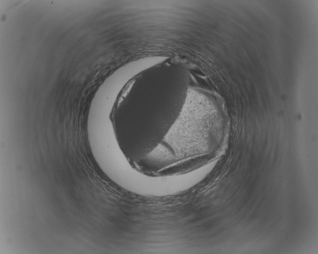 X0000071780818200607211554