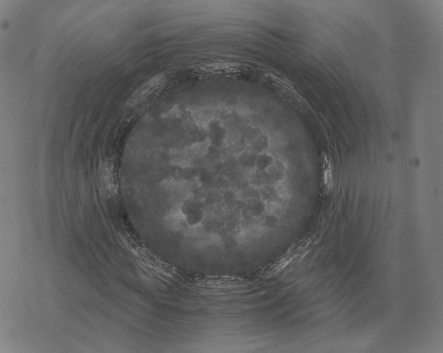 X0000071780819200607211554