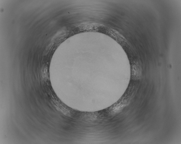 X0000071780820200607211554