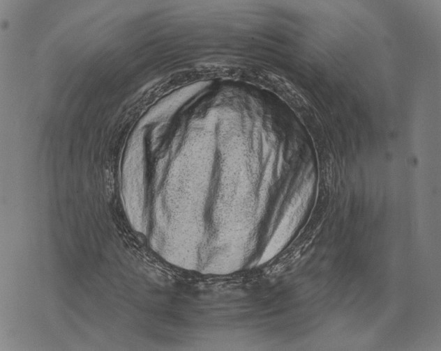 X0000071780821200607211554