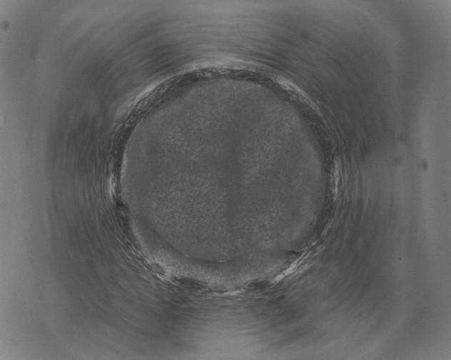 X0000071780822200607211554