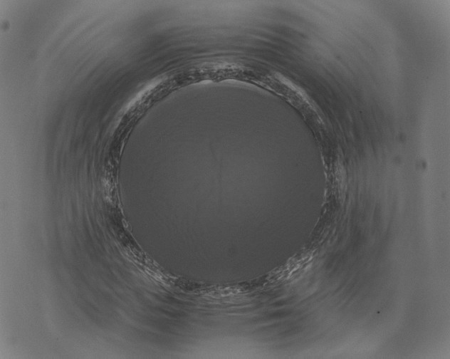 X0000071780823200607211554