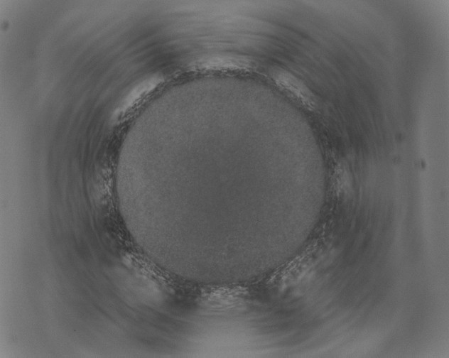 X0000071780824200607211554