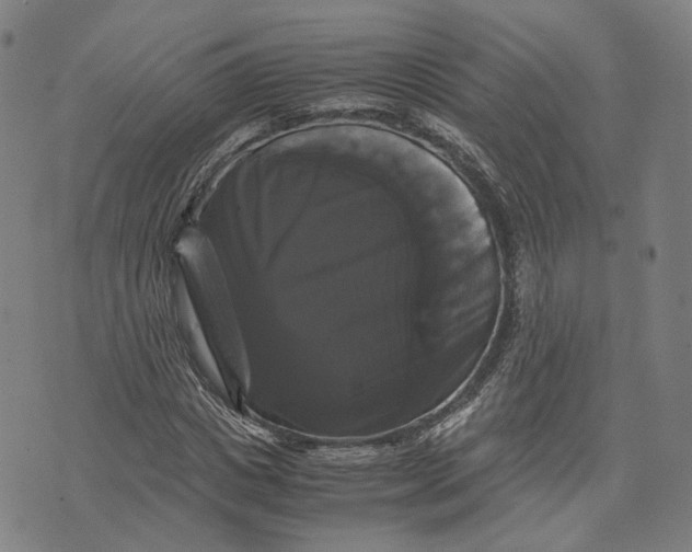 X0000071780825200607211554