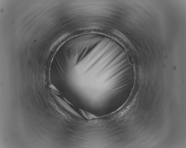 X0000071780826200607211554