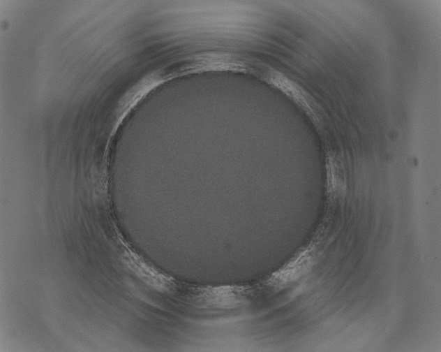 X0000071780828200607211554