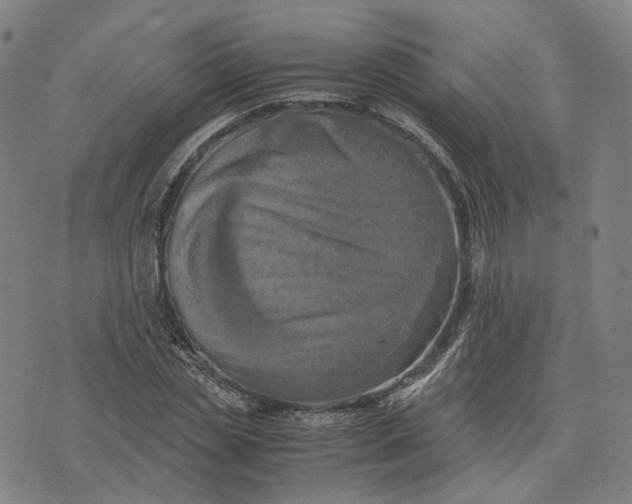 X0000071780829200607211555