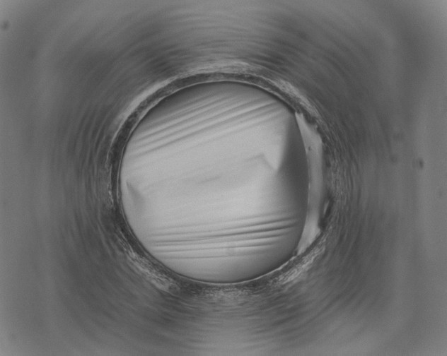 X0000071780830200607211555