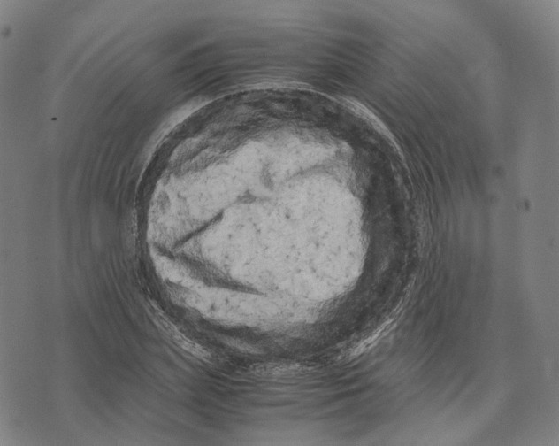 X0000071780831200607211555