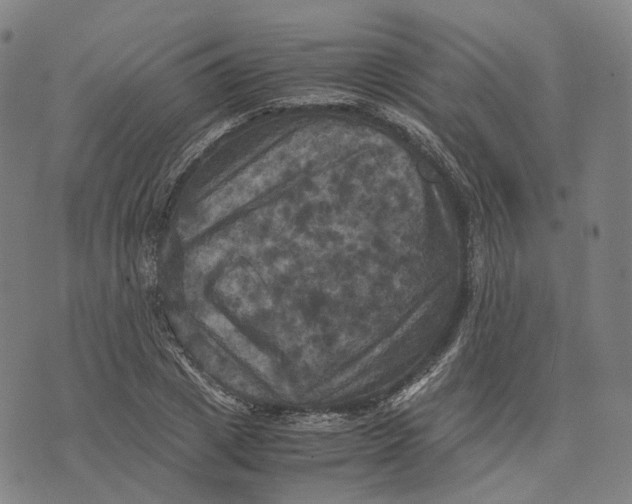 X0000071780833200607211555