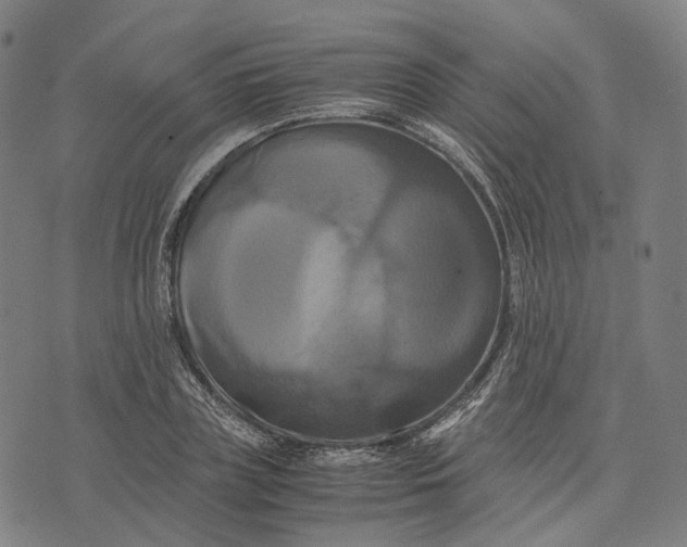 X0000071780835200607211555