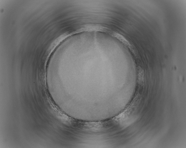 X0000071780836200607211555