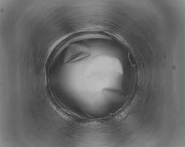 X0000071780838200607211555