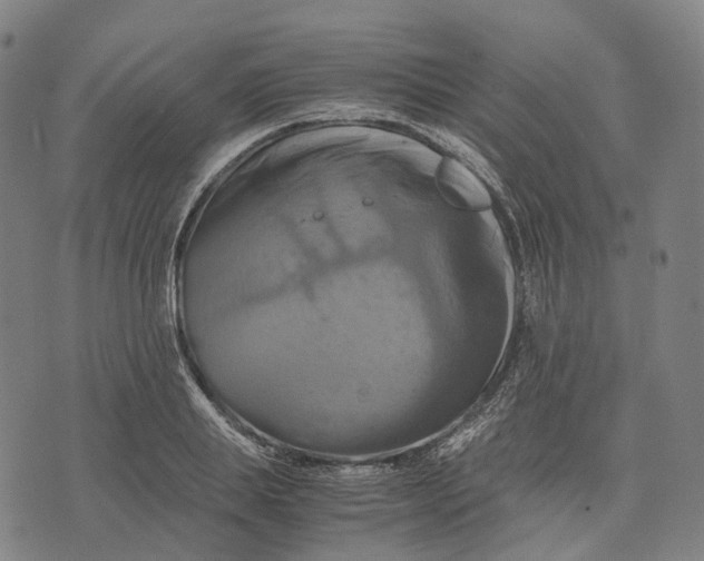 X0000071780839200607211555