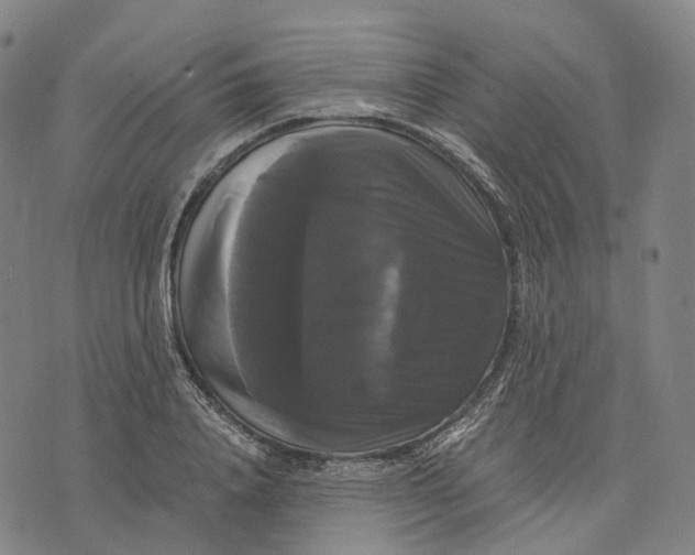 X0000071780840200607211555