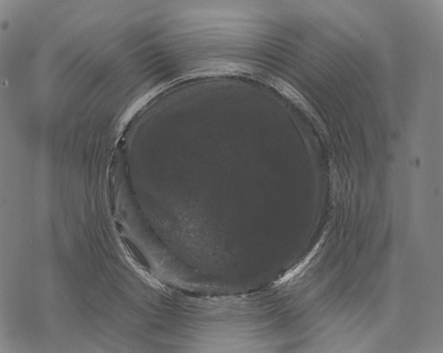 X0000071780842200607211555