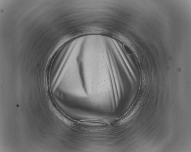 X0000071780843200607211555