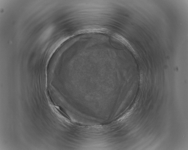 X0000071780844200607211555