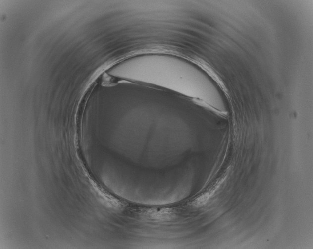 X0000071780845200607211555