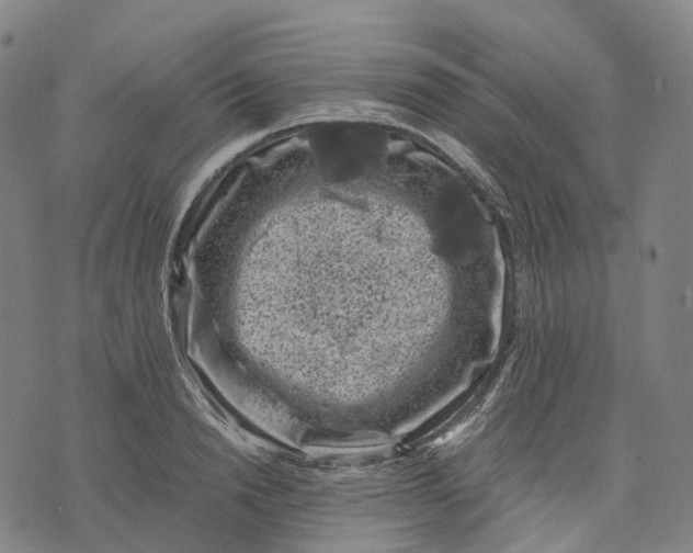 X0000071780846200607211555