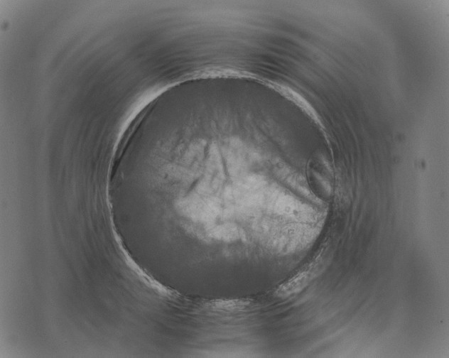 X0000071780847200607211555