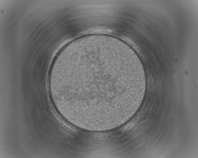 X0000071780848200607211555