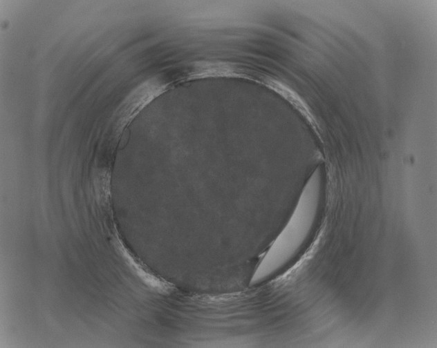 X0000071780849200607211555