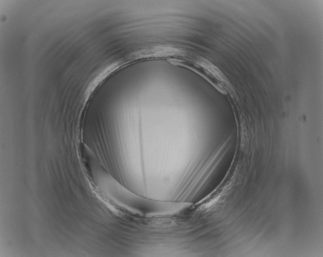 X0000071780850200607211555